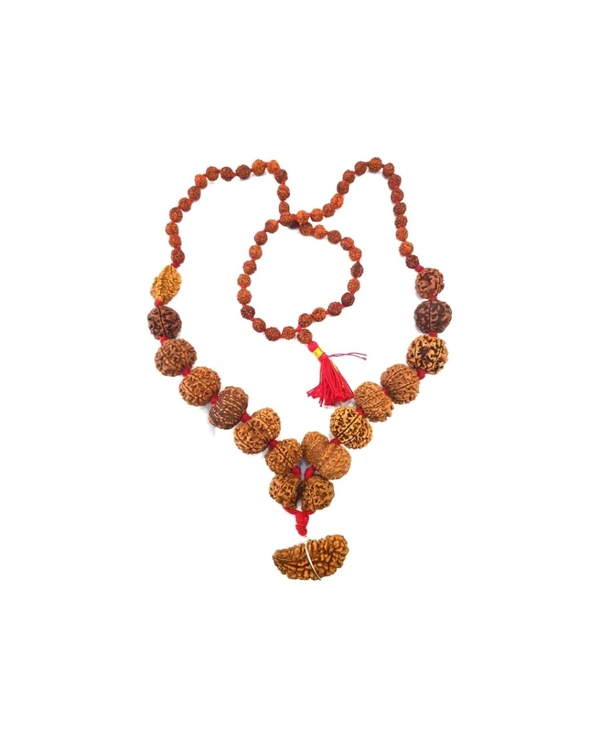 Best Quality Nepali 1 Mukhi Se 14 Mukhi Tak Ki Mala Original