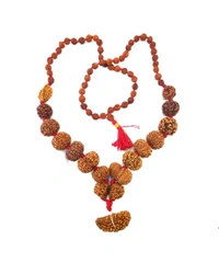 Best Quality Nepali 1 Mukhi Se 14 Mukhi Tak Ki Mala Original