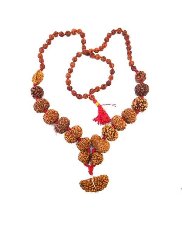 Best Quality Nepali 1 Mukhi Se 14 Mukhi Tak Ki Mala Original