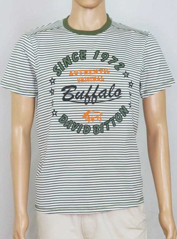 BUFFALO DAVID BUTTON  BUFFALO STRIPED N PRINTED T SHIRT 8C1 - White/ Green Striped, M