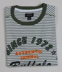 BUFFALO DAVID BUTTON  BUFFALO STRIPED N PRINTED T SHIRT 8C1 - White/ Green Striped, M