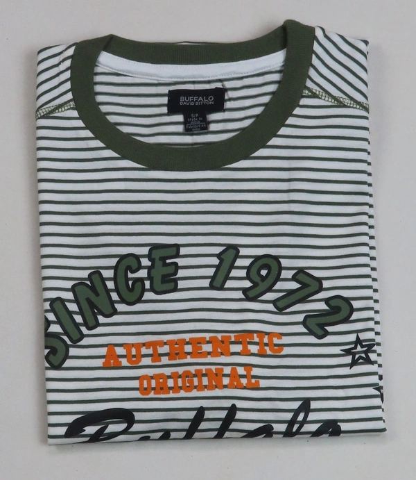 BUFFALO DAVID BUTTON  BUFFALO STRIPED N PRINTED T SHIRT 8C1 - White/ Green Striped, M