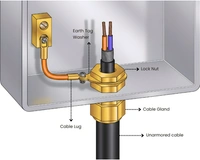 Pomat Earthing Tag With Bolt Nut - 20mm