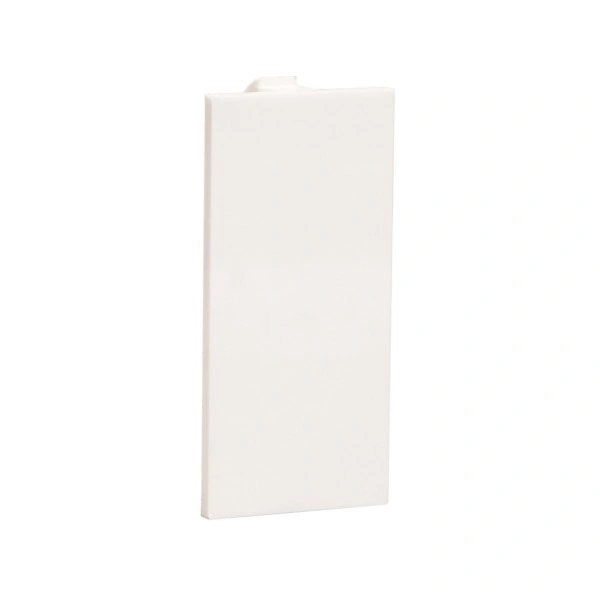 Crabtree Thames Dummy Switch