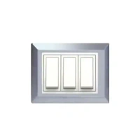Anchor 4M Classic Stainless Steel SS Frame Plate Roma - 4M