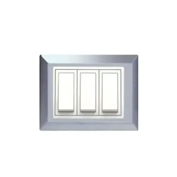 Anchor 4M Classic Stainless Steel SS Frame Plate Roma - 4M