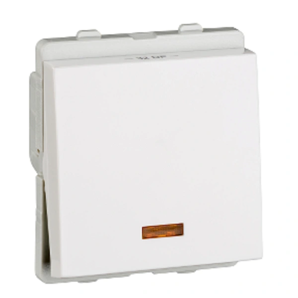 Schneider Livia DP Switch 32A With Indicator