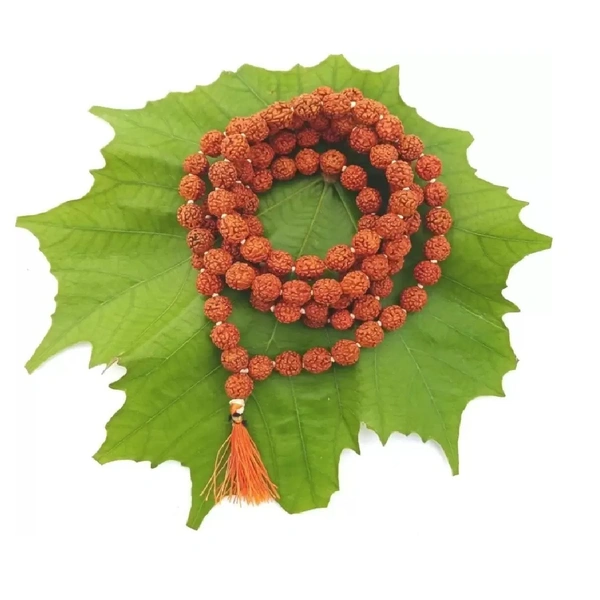 Original Himalaya Rudraksh Mala - 5 faces (8mm) with Certificate