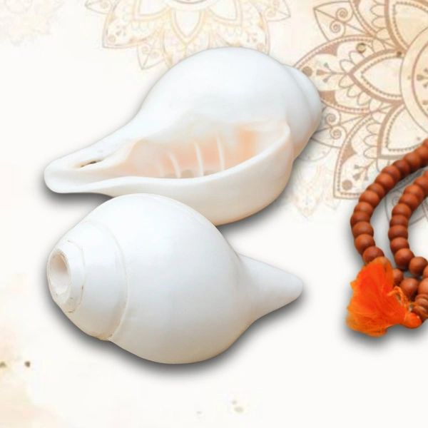 Original Rameswaram Blowing Shankh, Divine Conch ( White Shankh - Pack of 1 ) - 4.5 Inch - 🔴 Prepaid Only