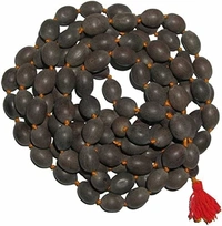 Original Lotus Seed Mala அசல் தாமரை விதை மாலை 108 - 🔴 Prepaid Only