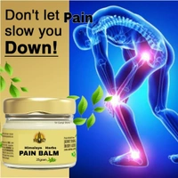 Himalaya Herbs Pain Balm - 2 Psc - 2 Psc - 25gram 🔴 Prepaid Only