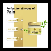 Himalaya Herbs Pain Balm - 2 Psc - 2 Psc - 25gram 🔴 Prepaid Only