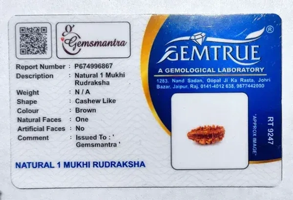 1 Mukhi Rudraksha - 🔴 Prepaid Only
