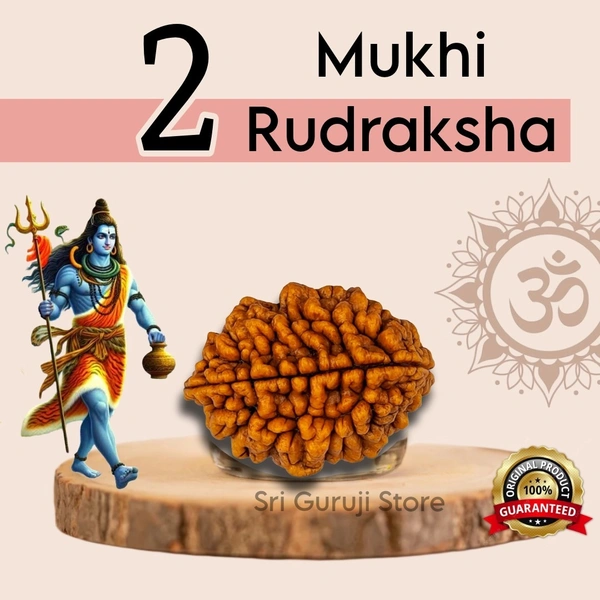2 Mukhi Rudraksha -