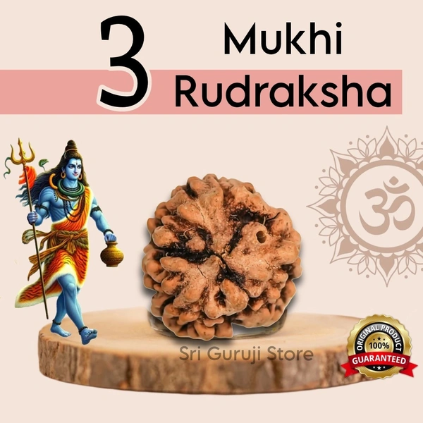 3 Mukhi Rudraksha -