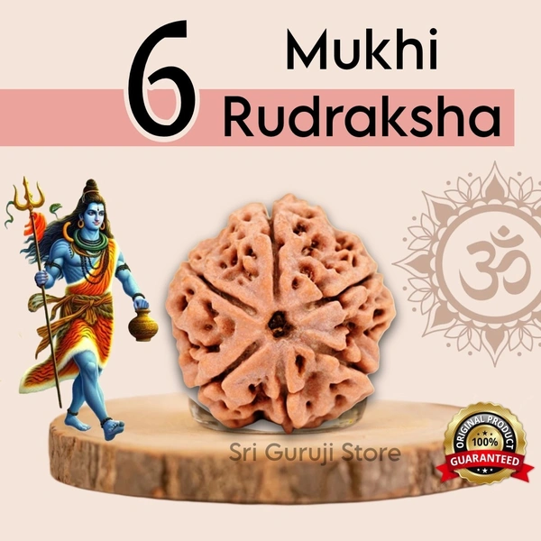 6 Mukhi Rudraksha -