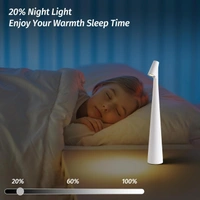 Portable Led Table Lamp