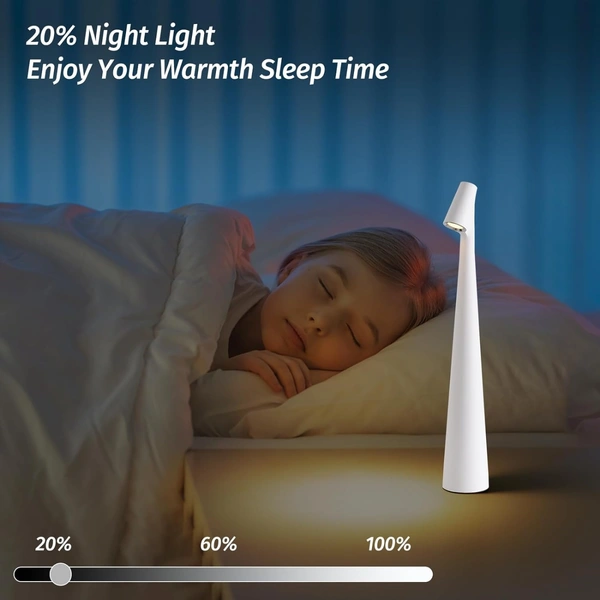 Portable Led Table Lamp