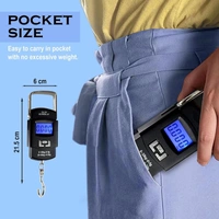 Protable Hook Electronic Scale