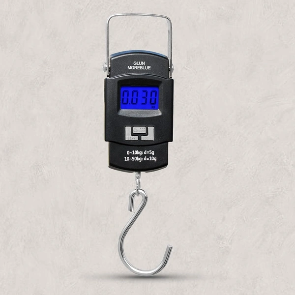Protable Hook Electronic Scale