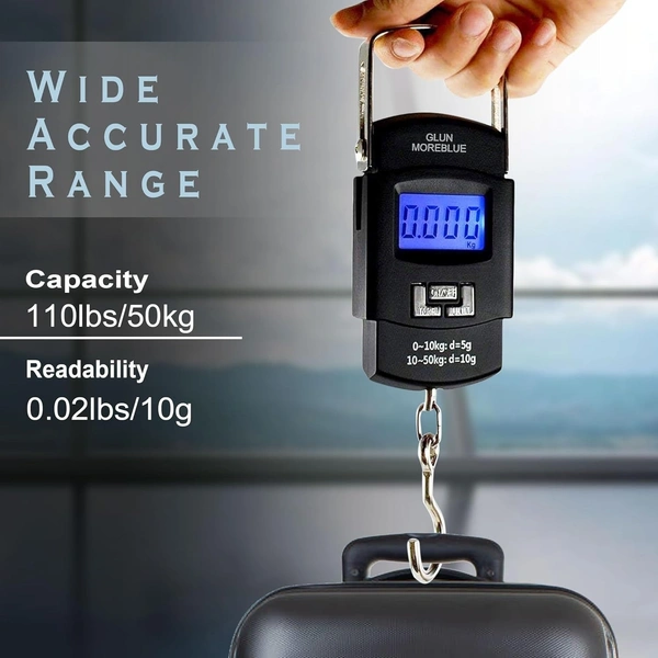 Protable Hook Electronic Scale