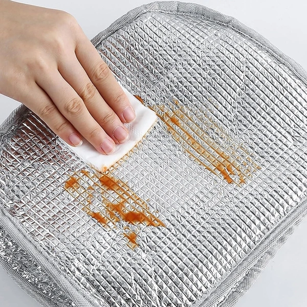 Insulated Reusable Lunch Bag Tote Bag for Women Men & Kids | Lunch Bag for School Picnic Office Outdoor Gym | Travel Box/Tiffin/Storage Bag 