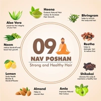 Best Ayurveda Keshsoundarya Herbal Shampoo | Anti Dandruff Shampoo | 250ml