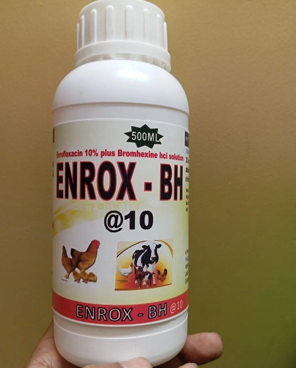 ENROX-BH@10 (For all the chronic respiratory diseases like CRD,CCRD,Colibacillosis,Pasteurellosis,Necrotic enteritis.etc.) 1ltr