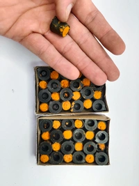 SINGLE POWER SOUND COR 3 BOX (48PC) - Bourbon