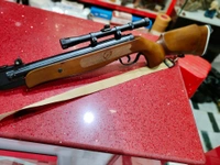 DX - 100 WALNUT WOOD LIMITED EDITION WITH GAMO SCOPE 4*20 - Bourbon, 4 Ft