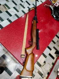 DX - 100 WALNUT WOOD LIMITED EDITION WITH GAMO SCOPE 4*20 - Bourbon, 4 Ft