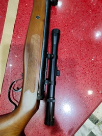 DX - 100 WALNUT WOOD LIMITED EDITION WITH GAMO SCOPE 4*20 - Bourbon, 4 Ft