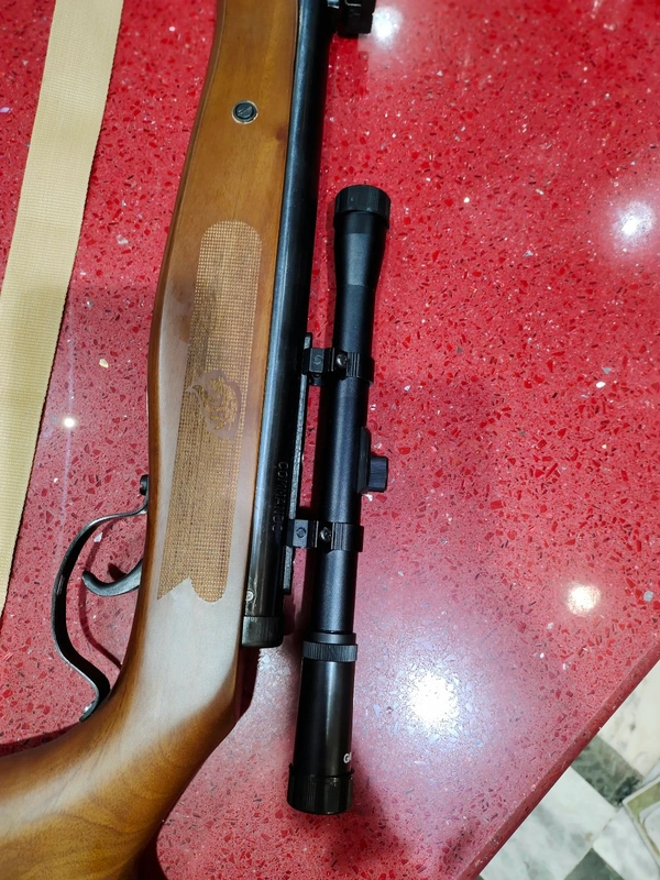 DX - 100 WALNUT WOOD LIMITED EDITION WITH GAMO SCOPE 4*20 - Bourbon, 4 Ft