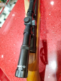 DX - 100 WALNUT WOOD LIMITED EDITION WITH GAMO SCOPE 4*20 - Bourbon, 4 Ft