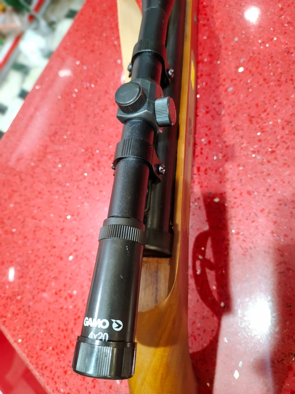 DX - 100 WALNUT WOOD LIMITED EDITION WITH GAMO SCOPE 4*20 - Bourbon, 4 Ft