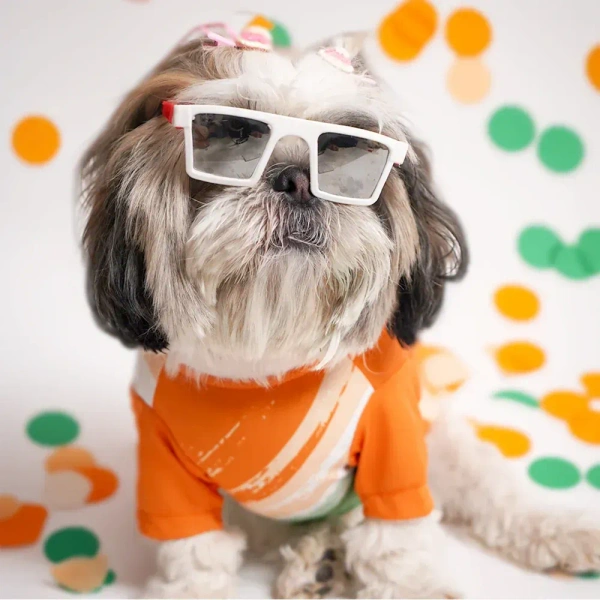 Pets Way Style 2 Republic Day T Shirt for Dogs