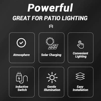 CL-T66 Outdoor Solar Wall Light Human Body Sensor Tungsten Solar Lamp