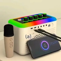 Portable Music Box Karaoke System – Bluetooth Speaker with Wireless Microphone for Parties & Home