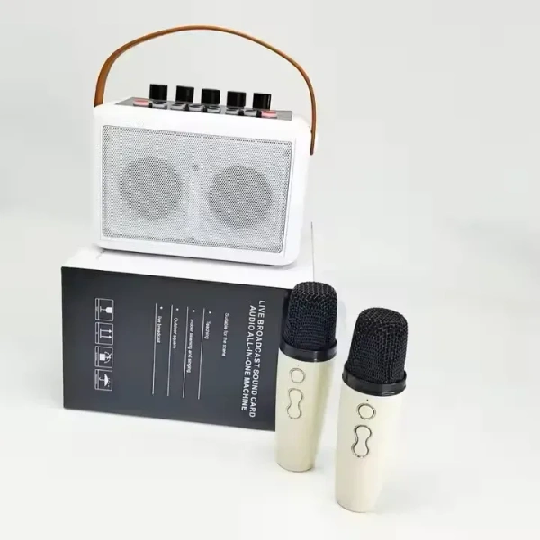 Portable Music Box Karaoke System – Bluetooth Speaker with Wireless Microphone for Parties & Home
