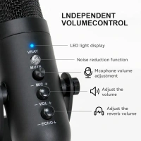 Professional Studio USB Condenser Microphone – Plug & Play for Gaming, Streaming, Podcasting & Music Recording