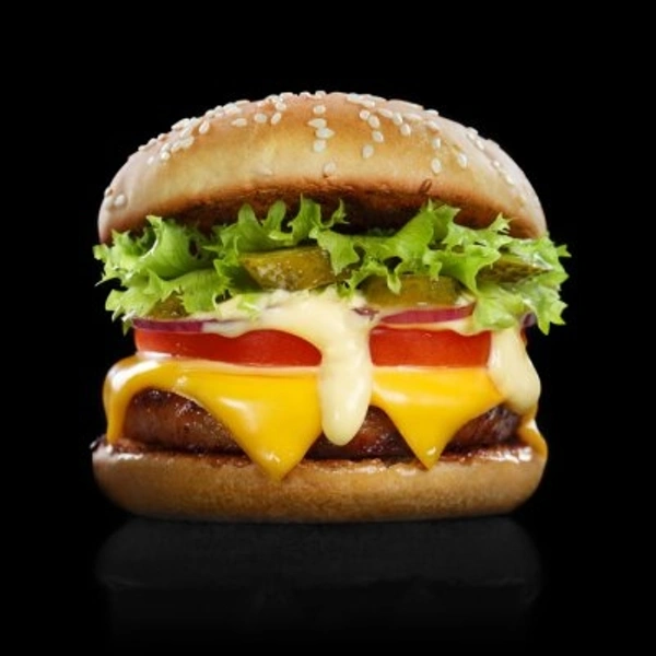 (kavsan) crispy veg burger