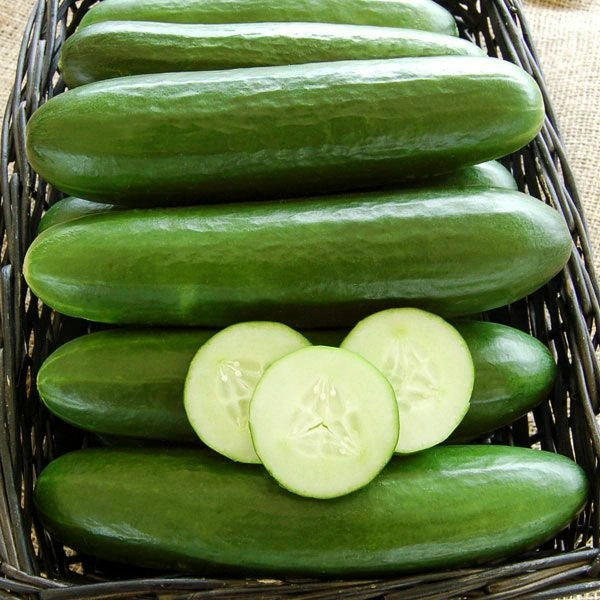 CUCUMBER 