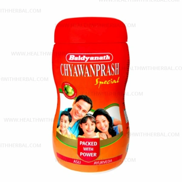 Baidyanath Chyawanprash Special Net Weight 1 Kg +100g Madhu