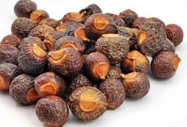 Boondi Kottai /Soap Nuts