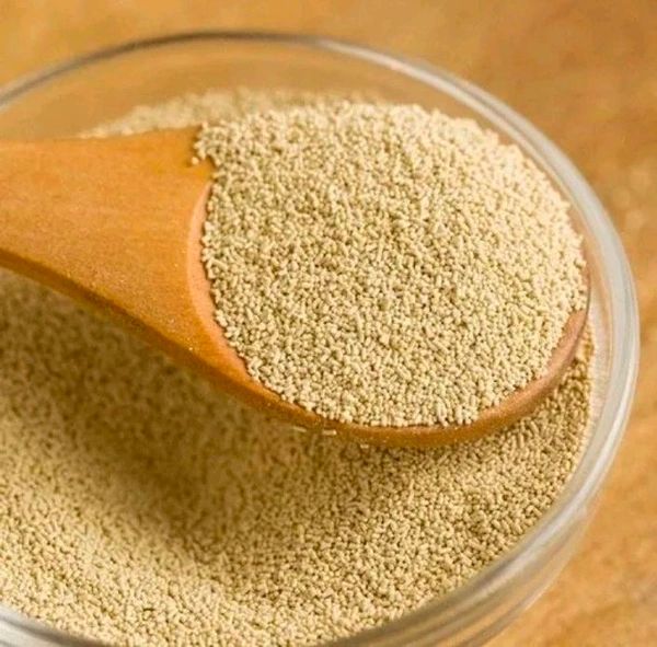 YEAST POWDER - 100g