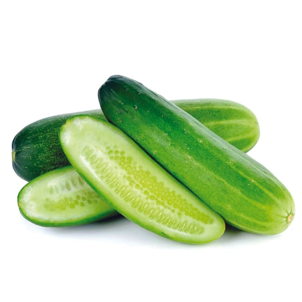 Green Cucumber 500 G ( ಸೌತೆಕಾಯಿ ' खीरा) - Japanese Laurel