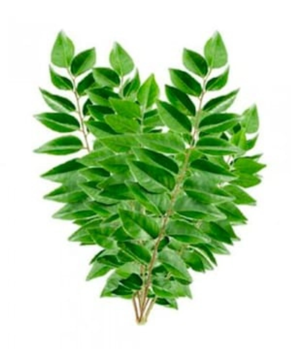 SMPH  Curry Leaves 50 Gram (Kari Ptta)
