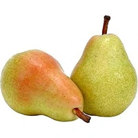 Pear Beauty 2 Please 300g
