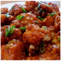 Gobhi Manchurian 1 Full Plate Plate - Full Plate