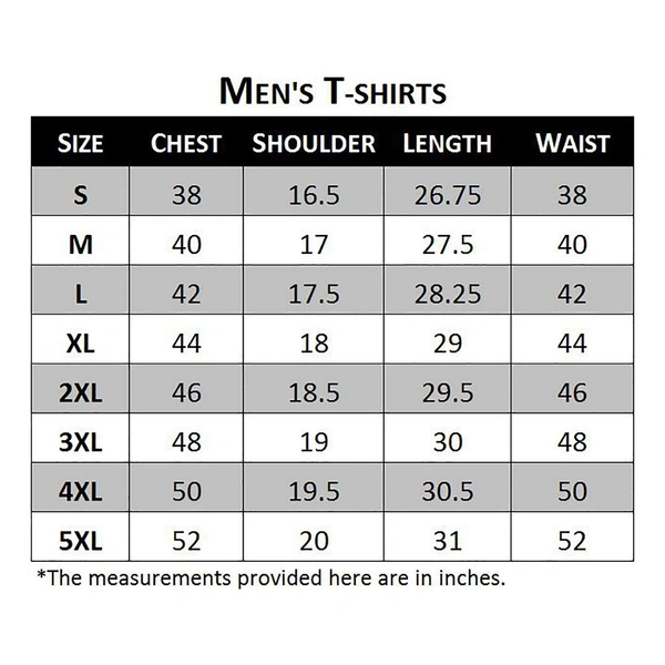 Men's Regular Fit T-Shirt - L